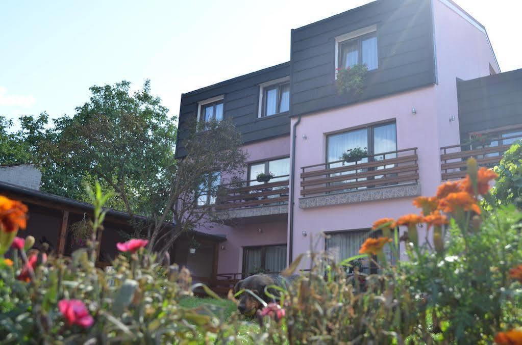 Pensiunea Andy Brasov Exterior photo
