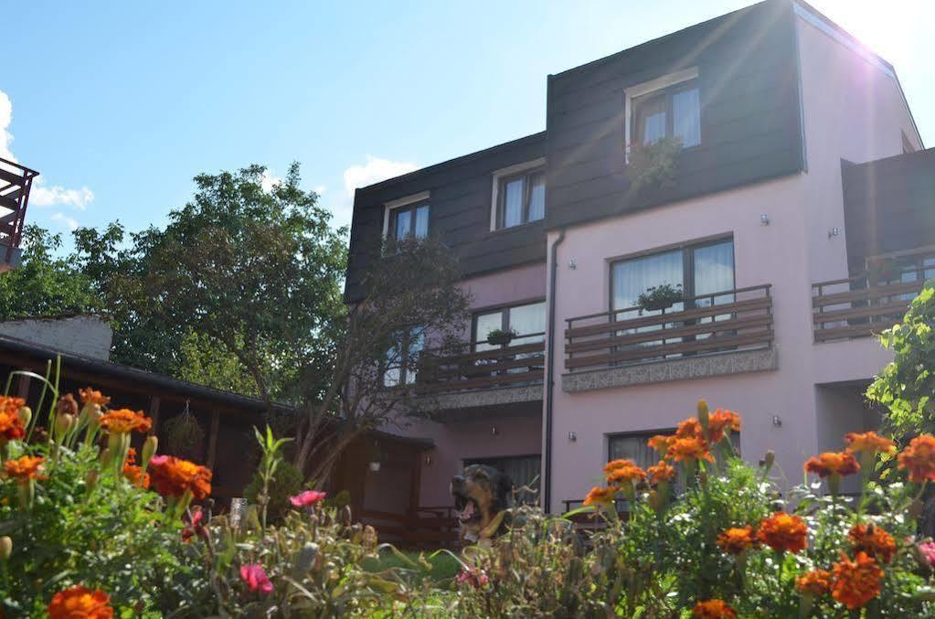 Pensiunea Andy Brasov Exterior photo